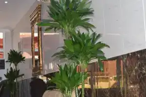 Sharjah Premiere Hotel & Resort, Шарджа