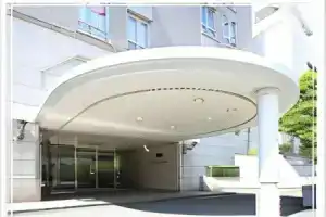 Pearl Hotel Mizonokuchi, Кавасаки