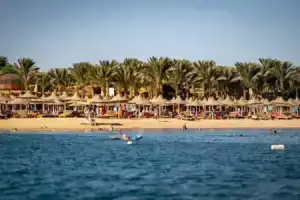 Отель «Andalusia Blue Beach», Хургада