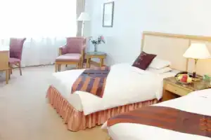 Wanyou Conifer Hotel, Чунцин