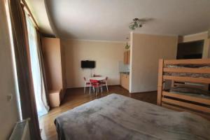 1Room Flat for rent in Bakuriani, Бакуриани