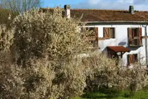 Masseria Cerasella, Пескокостанцо
