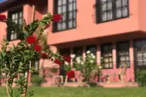Hotel «Palme Dalyan», Дальян