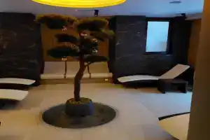 Hotel «Galicja Wellness & Spa», Освенцим