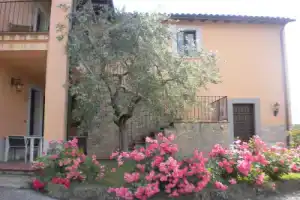Ферма «Il Poggio degli Olivi», Беттона
