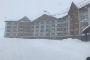 ახალი გუდაური თვინს, Гудаури