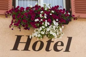 Sonneneck Hotel & Restaurant mit Terrasse - Titisee (Adults Only), Титизее-Нойштадт