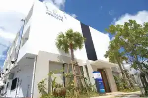 Hotel Noah, Гинован