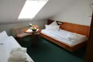 Vitalhotel Weisse Elster, Бад-Эльстер