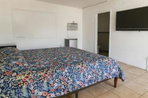 Antigua Motel by OYO Tampa US - 41, Тампа