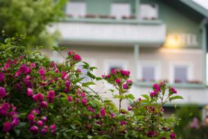 Gartenhotel Salzach, Бургхаузен