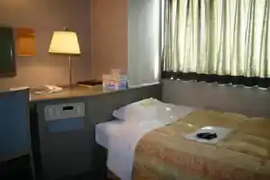Tsuyama Central Hotel Annex, Цуяма