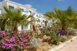 Отель «Cyclamem Mechmoum and Spa», Хаммамет