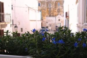 D Azur Casa Vacanze, Монополи