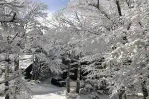 The Guest House Japan Hakuba, Хакуба