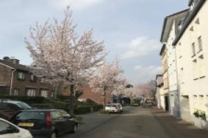 Vaals Aachen Suite Apartment, Аахен