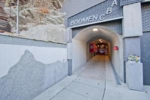 Haus Bodmen C Apartment Edelweiss, Церматт