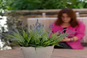 Bodrum Suites, Янина