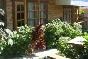 Гостевой дом «Три Медведя», Кабардинка