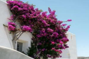 Naxos Kastraki Homey Villa With Sea View, Кастраки