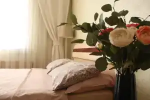 Квартира Daily Rent Apart- Двухкомнатная квартира с двумя балконами, Екатеринбург