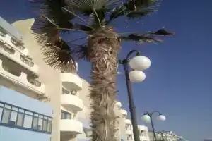 Апартаменты Наш Парус