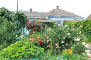 Частный дом на Прилиманной, Должанская