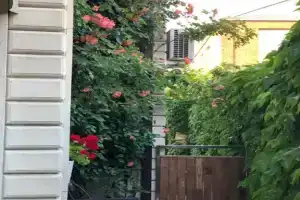 Дом под липой, Геленджик