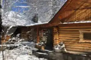 Частный дом 77 в Лесу