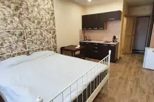 Уютная студия в центре города