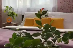 Апартаменты Ярко 2, Кострома