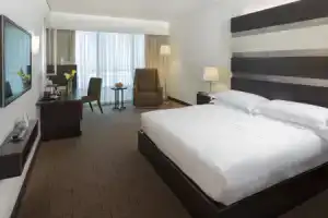 Dubai International Terminal Hotel, Дубай