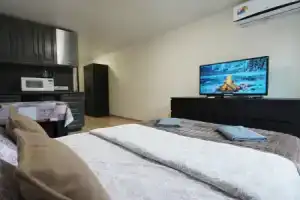 Апартаменты RoomOnDay Арт 000419, Москва