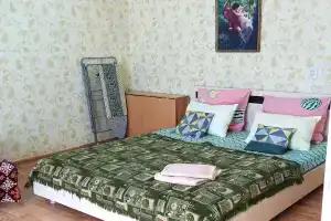 Квартира Большая однушка в центре рядом с парком, горбольницей, ФОКом и вузами