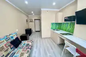 Квартира 1-ком. квартира Шилова 42/79, Чита
