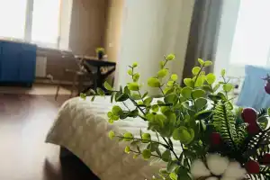 Квартира уютная у Демьяновского парка, Клин
