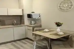 Квартира студия 2 в центре
