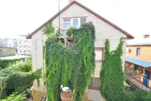 Гостевой дом «Виола»