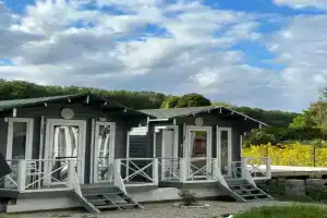 База Отдыха Релакс Дом, Цитрусовый совхоз