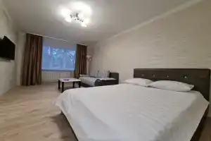 Апартаменты в центре на переулке Буянова, 4