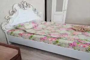 Апартаменты 2хкомнатная в центре