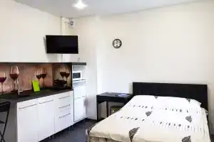 Апартаменты АЛЛиС-ХОЛЛ Белинского 30, Екатеринбург