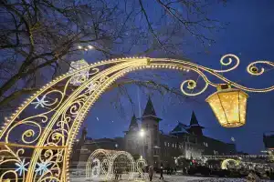 Апартаменты Ботаника, Саратов