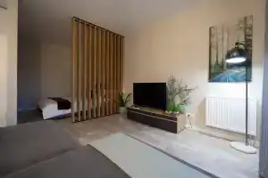 Апартаменты Хвойный Лес SPA Бассейн, Светлогорск