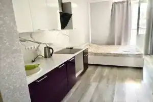 Квартира Студия 30 м² в ЖК Одинбург, Одинцово