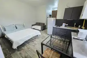 Квартира в Олимпийском Парке Сириус