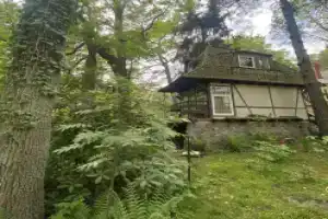 Частный дом Уютный Гостевой, Светлогорск