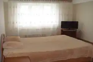 Апартаменты на Мичурина 35, Большое Козино
