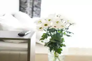 Апартаменты Diaday Irk 5, Иркутск