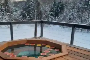 Шале forest is life, Сбоево